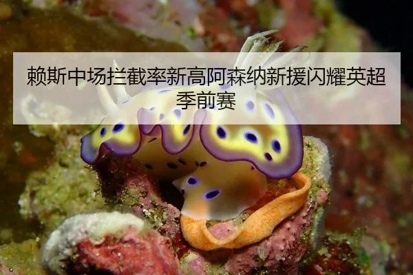 赖斯中场拦截率新高阿森纳新援闪耀英超季前赛
