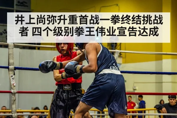 井上尚弥升重首战一拳终结挑战者 四个级别拳王伟业宣告达成