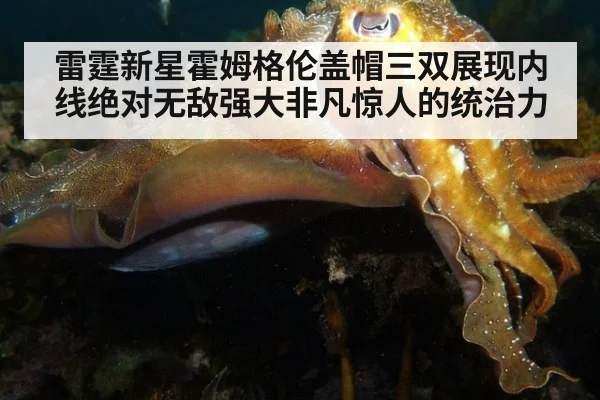 雷霆新星霍姆格伦盖帽三双展现内线绝对无敌强大非凡惊人的统治力
