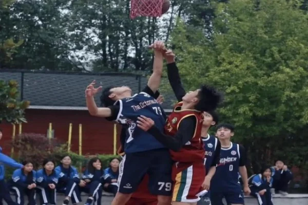 NBA媒体日聚焦 湖人詹姆斯与东契奇合作前景与球权战术解析